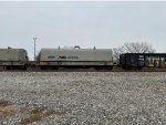 NS 163262